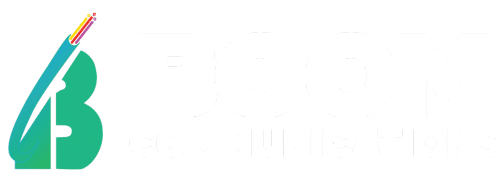 Boom Logic - IT consultant